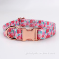 Pet Leashes best quality print design dog collars Supplier